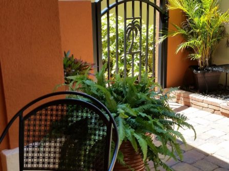gates and fences palm tree gate